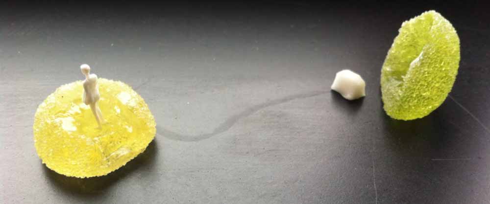 Constructing models with candy